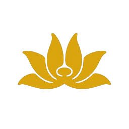 Vietnam Airlines logo